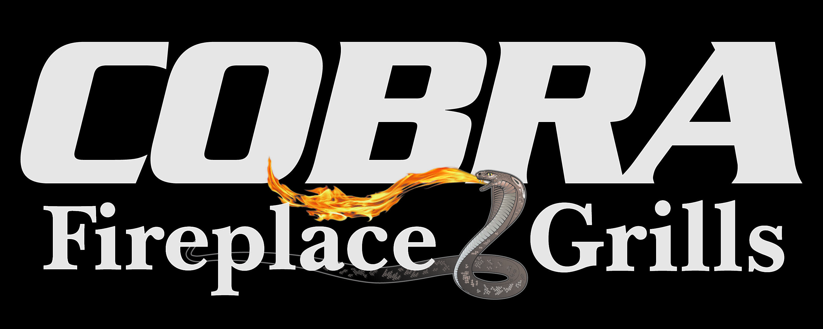 Cobra Fireplace and Grill